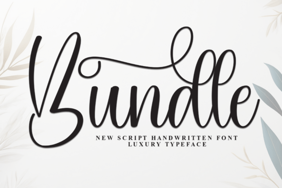 Bundle: A Modern Script Font for Elegant Branding