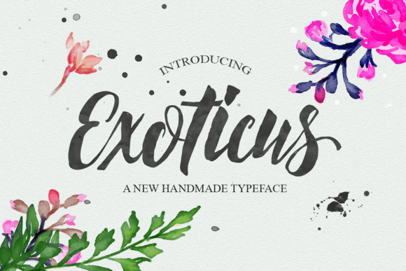 Exoticus: Where Calligraphic Soul Meets Modern Edge