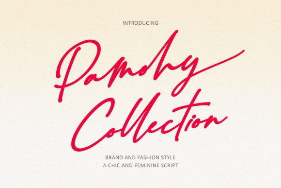 Pamohy Collection: A Script Font for Modern Feminine Branding