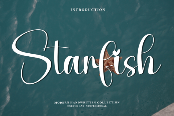 The Art of Flow: Mastering Design with the Starfish Script Font